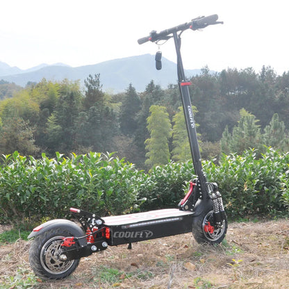 Foldable Dual Motor 2000W Electric Scooter Long Range
