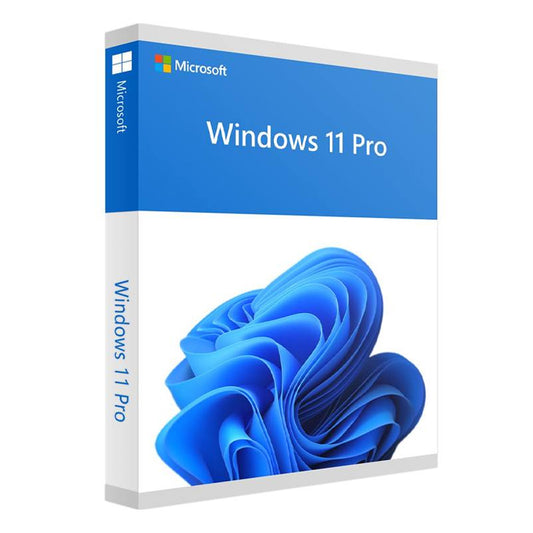 Microsoft Windows 11 Pro Retail Box - HAV-00163 Edition